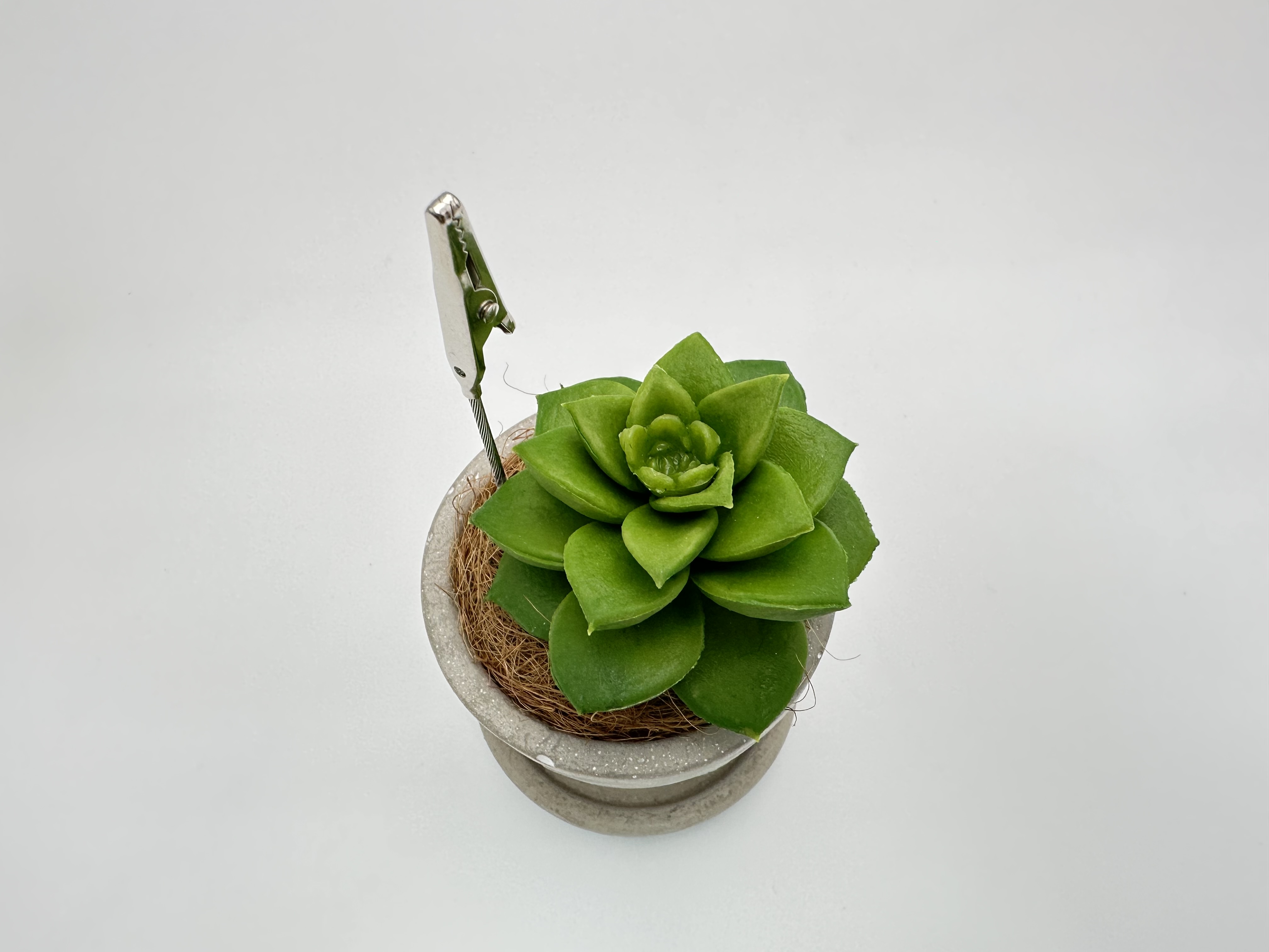 擬真植物留言夾